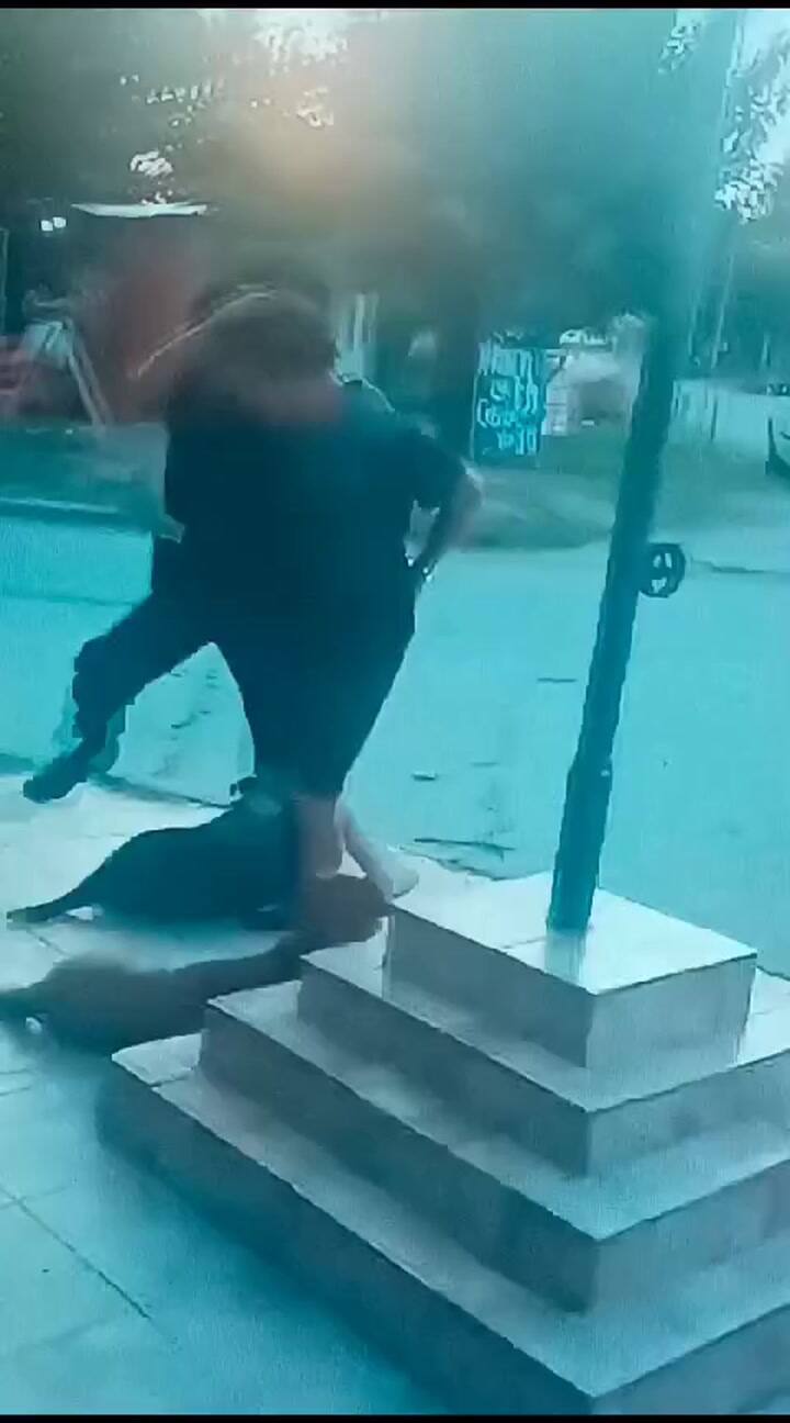 Detenido por intentar raptar a una menor en Guernica