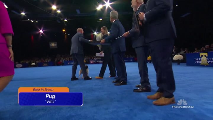 El Ganador De La Exposición Nacional Canina Presentada Por Purina