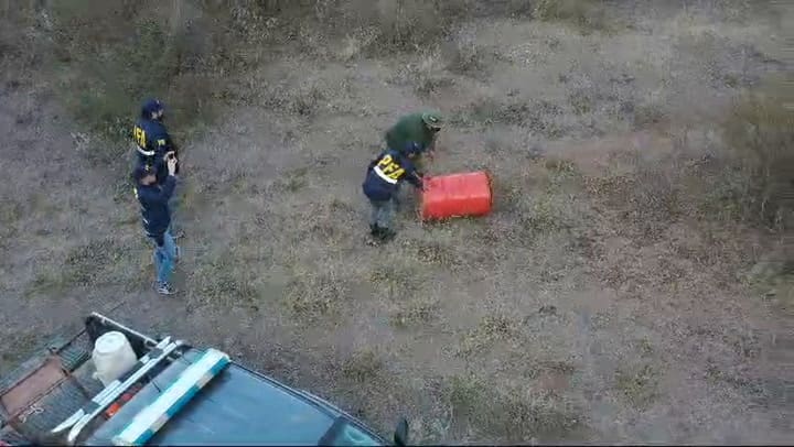 Cazadores furtivos 2