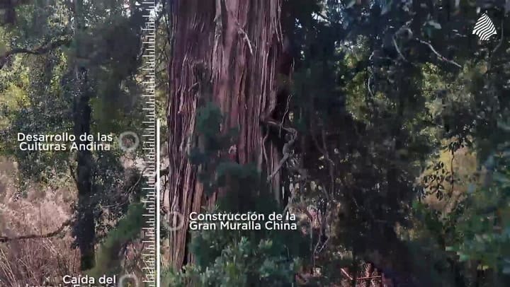Créditos de las fotos y del video: Administración de Parques Nacionales (APN)
