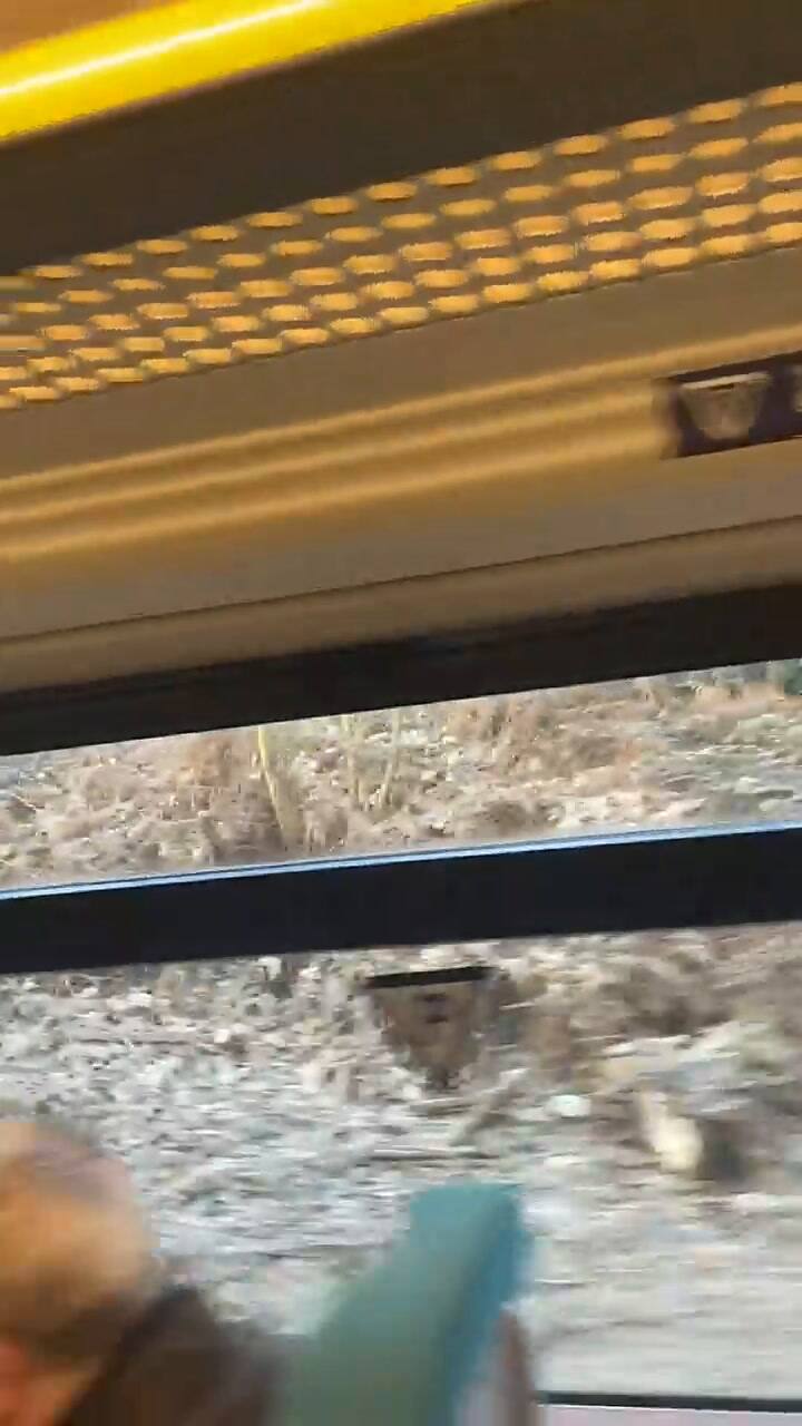 Una mujer denunció en redes sociales que los pasajeros de un tren no cedieron el asiento a su hijo