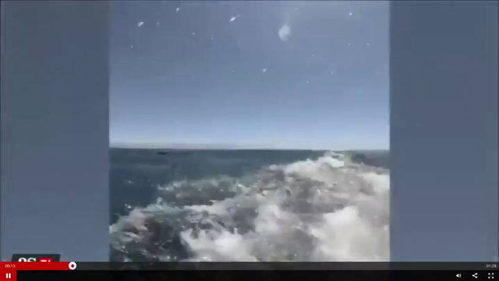 Sorpresivo: pescaba con arpón y un tiburón le arrebató la presa