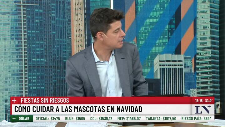 Como cuidar a las mascotas en Navidad