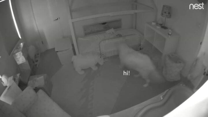 La beba que se fugaba de su cuna todas las noches - Fuente: YouTube