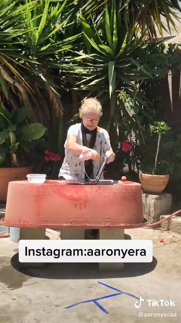 Una abuela limpió con agua y jabón una notebook para 'sacarle los virus'