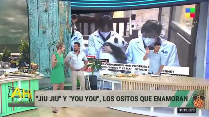 Julieta Prandi se burló de los nombres de las niñas Mara y Dona