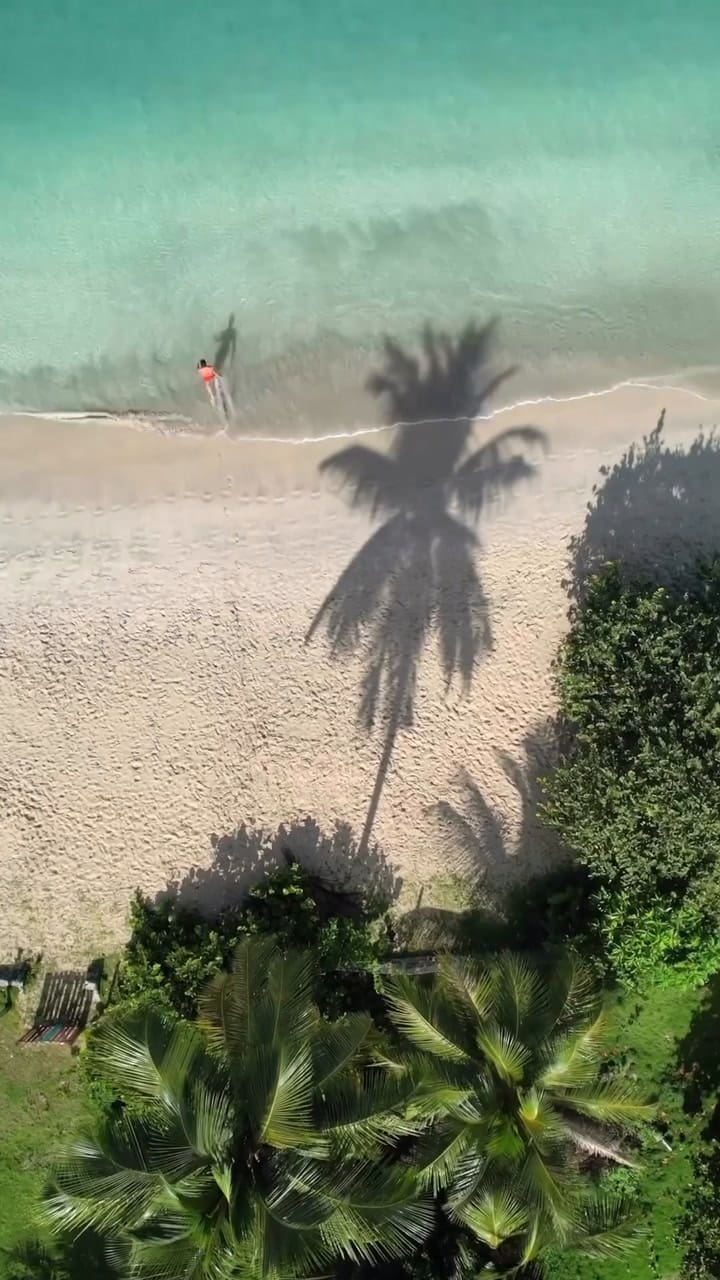 El destino paradisíaco en las Islas Vírgenes Británicas