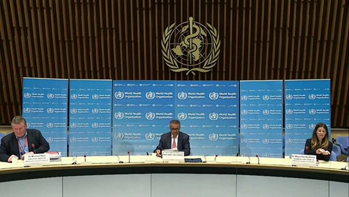 El nuevo coronavirus es de origen natural, según la OMS - Fuente: AFP