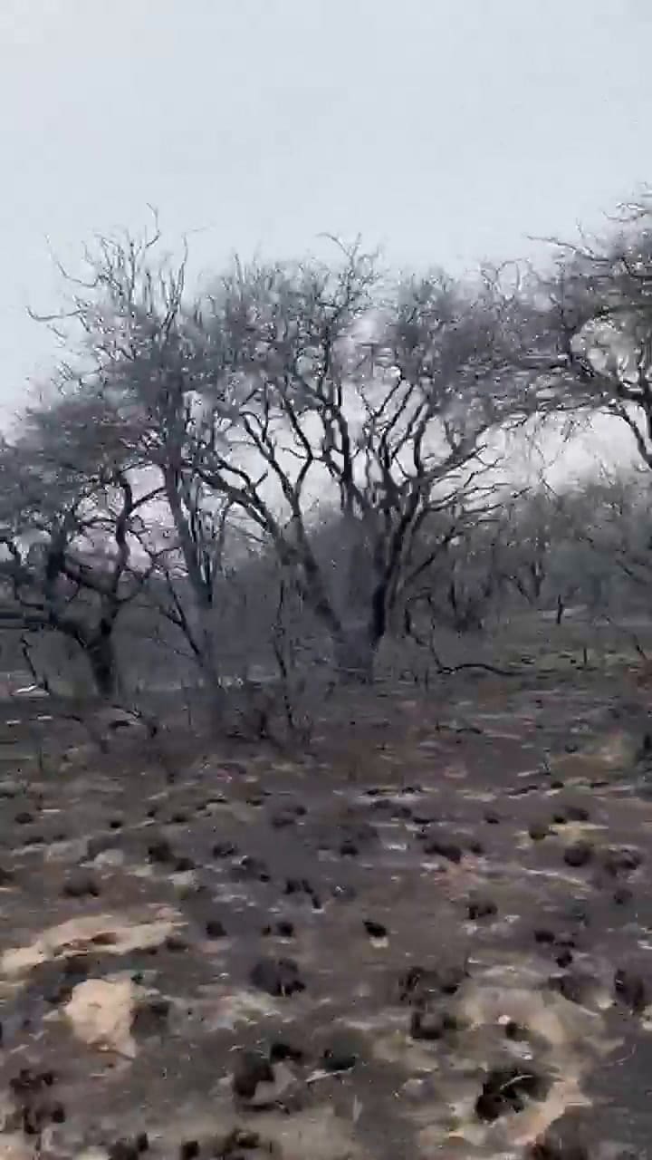 Arillo perdió casi todo lo que tenía en las 203 hectáreas que produce junto a otras dos familias, lo