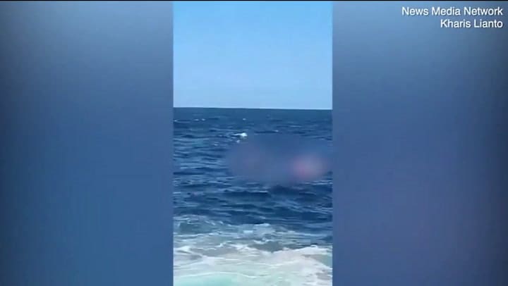 Ataque tiburón en Sídney