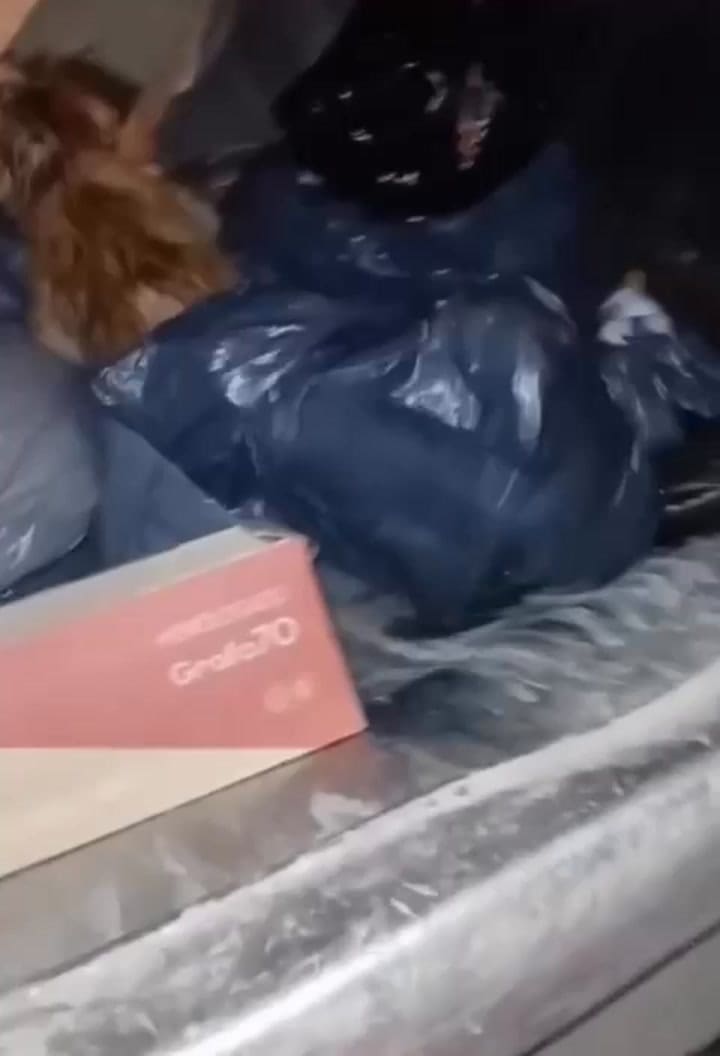 Salta: una perrita viva fue arrojada a la basura y casi muere compactada