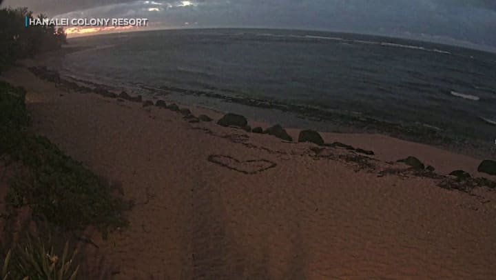 Varias camaras muestran como el agua del mar retrocede mientras permanece la alerta de Tsunami