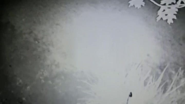 El video que complica la situación de Pachelo, detenido por los robos en el country Tortugas