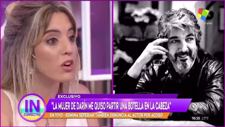 Romina Seferian acusó a Ricardo Darín de acoso y a su esposa, Florencia Bas, de un hecho de violenci