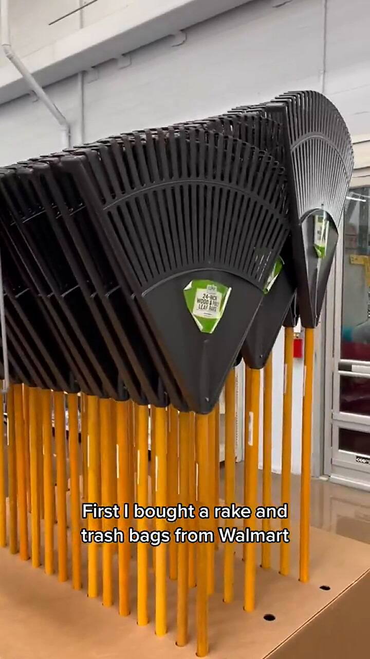 Tiktoker prueba diferentes negocios para ver cuántos dólares logra acumular