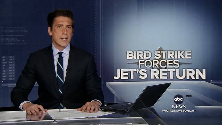 Un vuelo de United Airlines que viajaba de Chicago a Miami experimentó un choque de aves