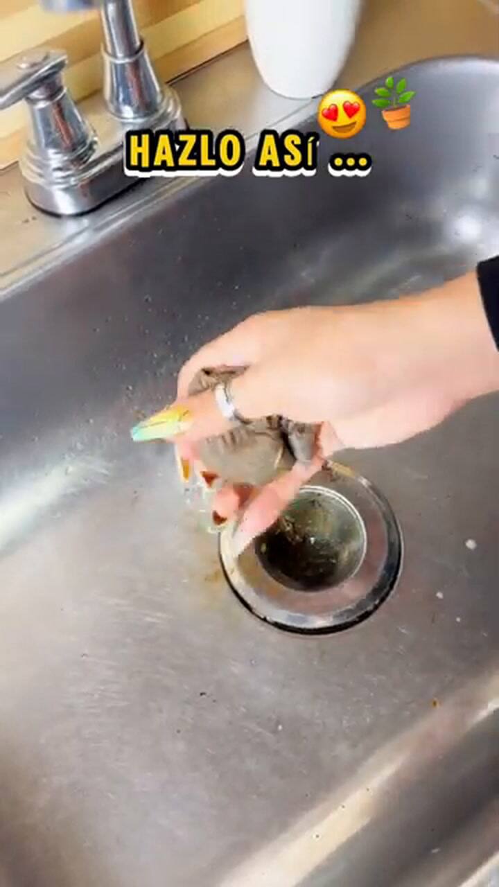 Cómo reutilizar el café