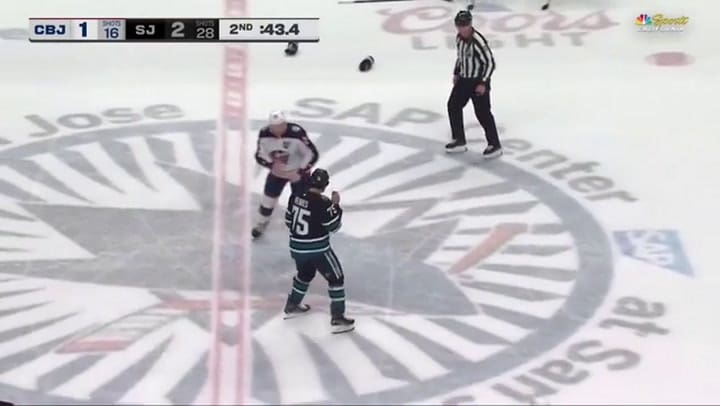 La brutal pelea entre dos jugadores de la NHL