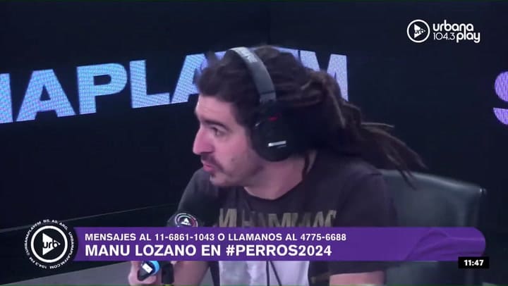 PERROS DE LA CALLE 1