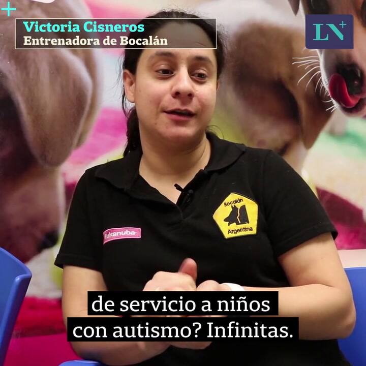 Perros de asistencia: grandes aliados para los chicos con autismo