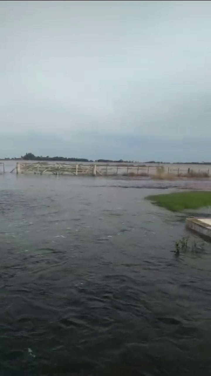 El arroyo Brandsen, en Olavarría, desbordado