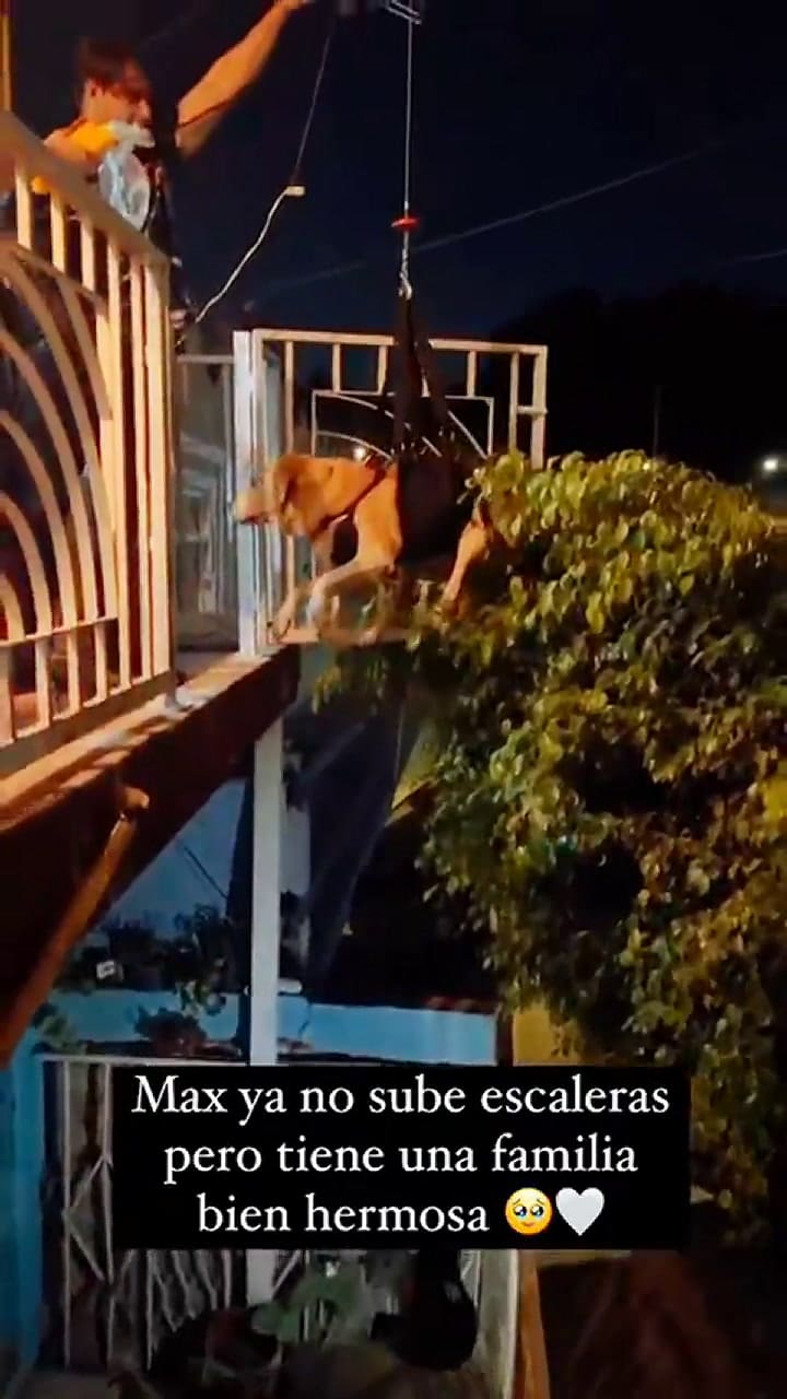 El acto conmovió a los usuarios de las redes