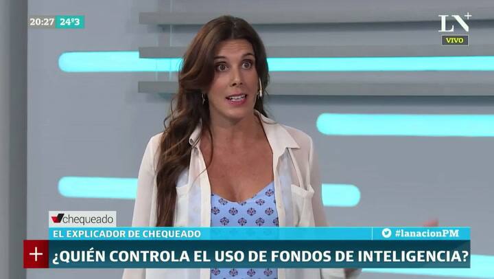 Análisis de Laura Zommer