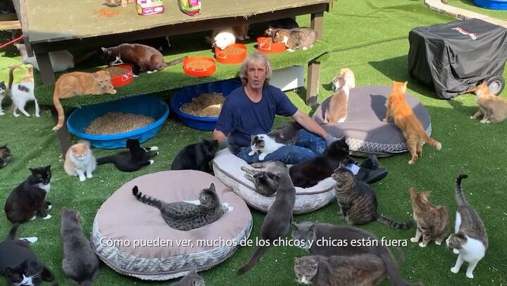 La historia de vida de Christopher Arsenault, quien le dedicó 19 años de su vida a cuidar gatos