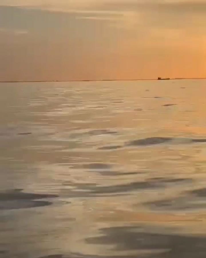 Adriano Motta cruce del Río de la Plata 2