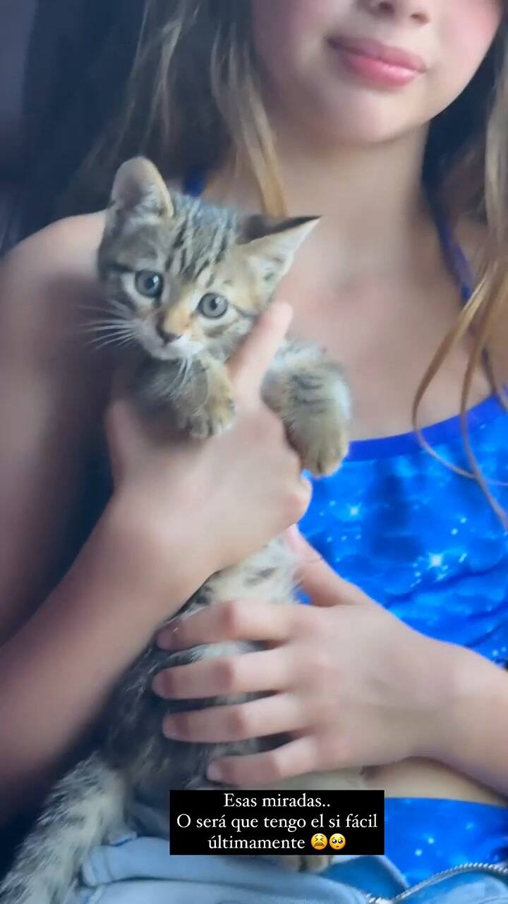 Wanda Nara contó en sus historias que adoptaron un nuevo integrante para su familia.-