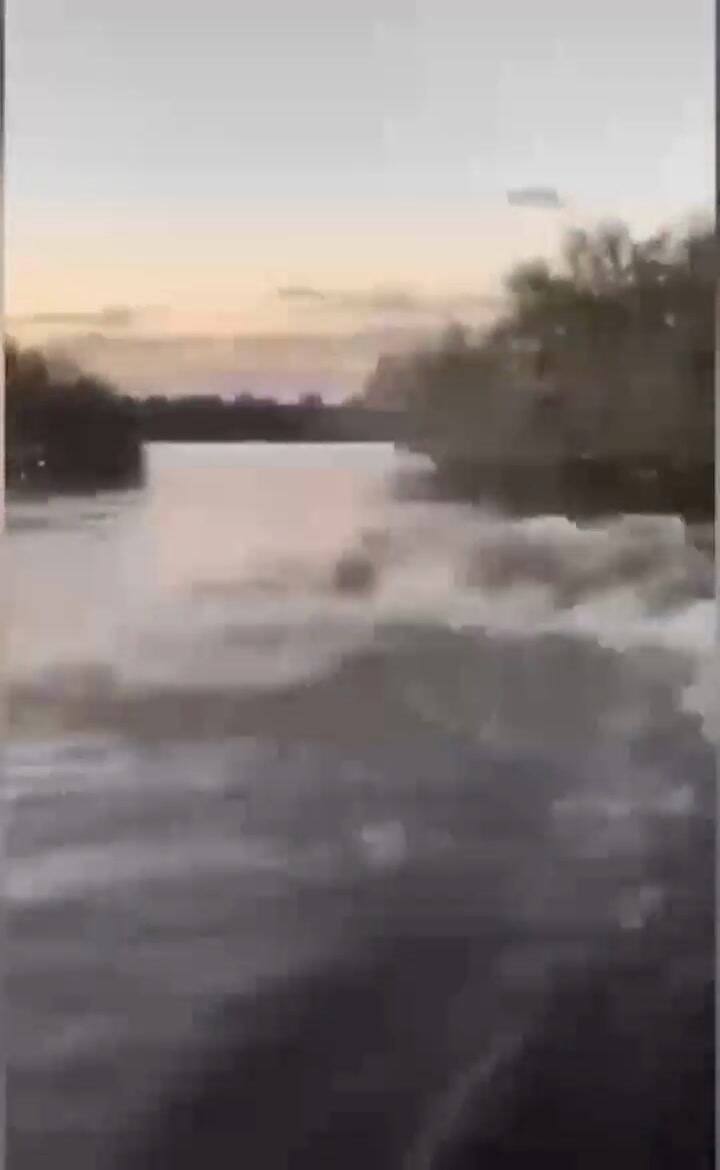 Un hipopótamo nada a toda velocidad para perseguir una lancha en Kenia