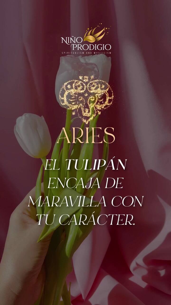 Niño Prodigio reveló con qué flor es compatible cada signo del zodíaco