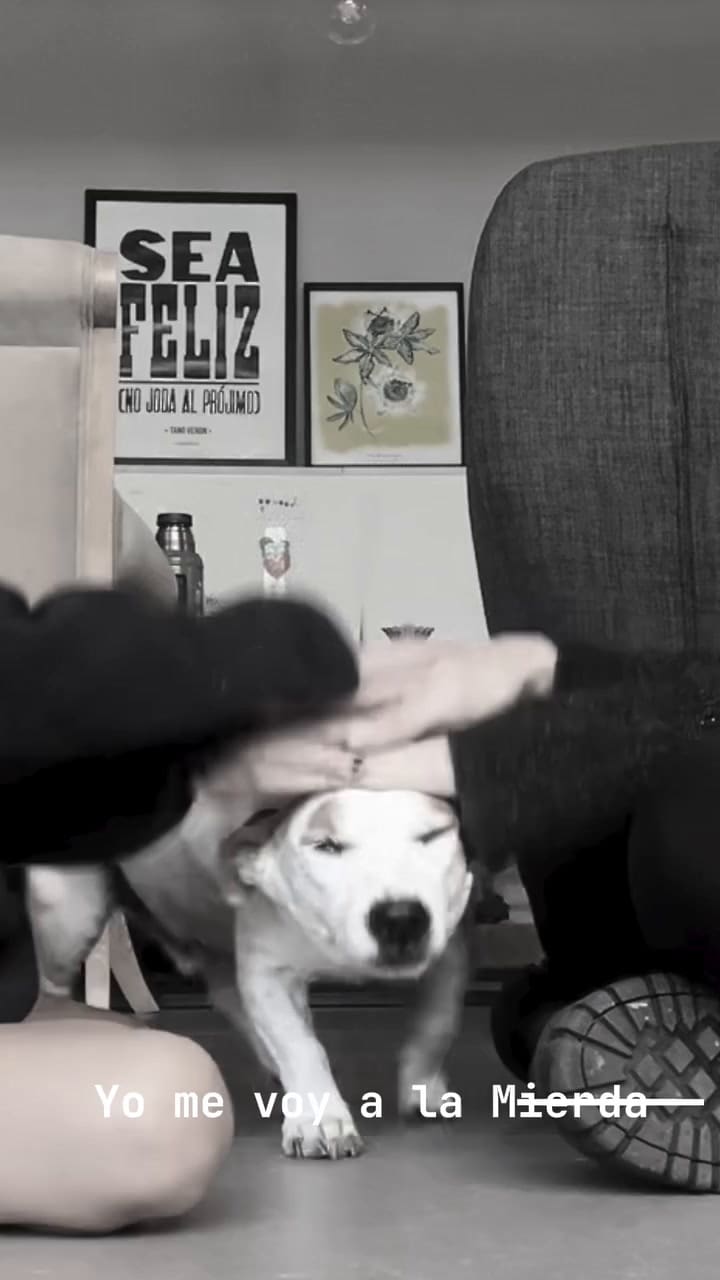 El video de Brenda Gandini que recuerda uno de sus mejores momentos con su perro Buko