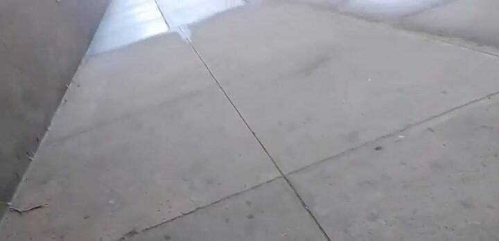 Filmaba una tubería cuando una criatura salió del interior y se dirigió hacia él