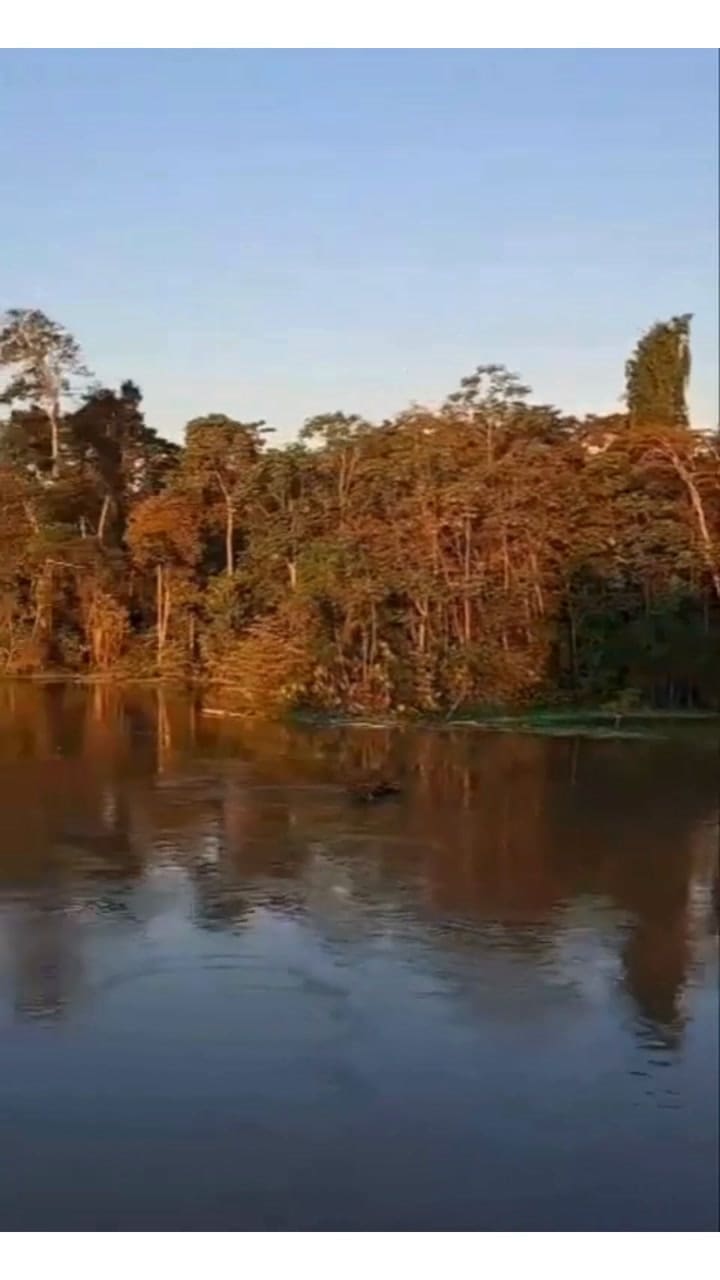 Los dos arquitectos argentinos elegidos por Francisco que construyen en el Amazonas