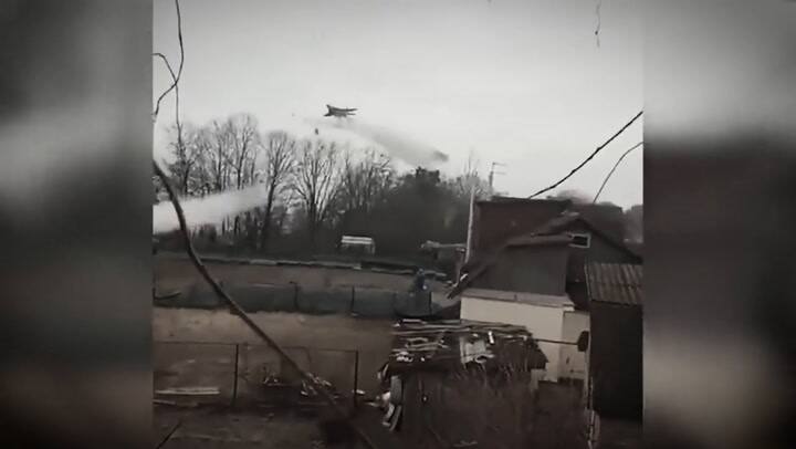 LN BIENESTAR - Presentación