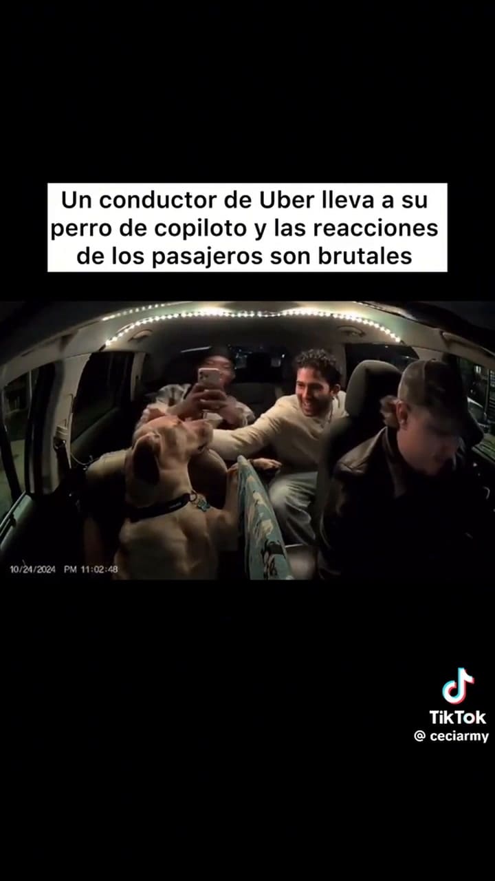 Pasajeros de Uber sorprendidos al ver a un perro de copiloto