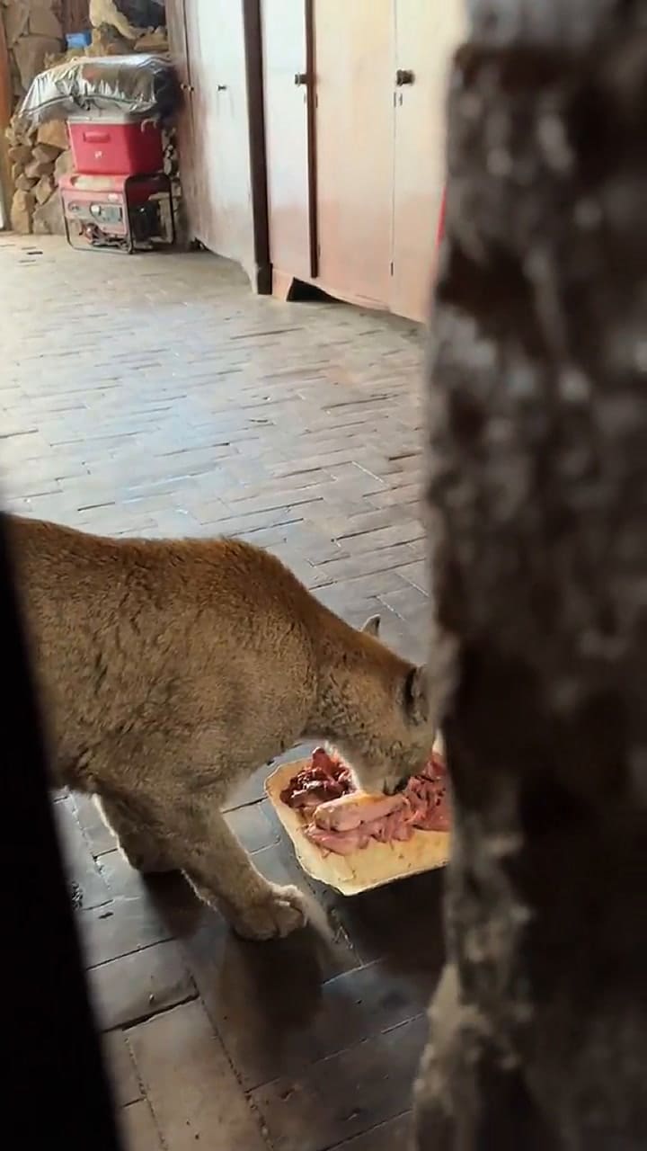 Uno de los días de Estanislao que comparte con la protectora