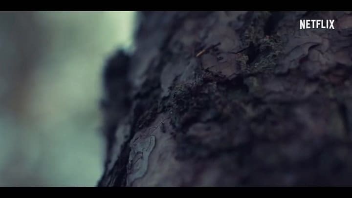 Bosque adentro fue todo un éxito tras su estreno en 2020