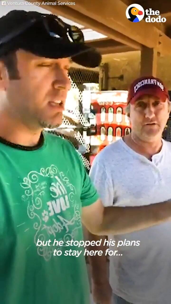 El reencuentro con su gato luego de 7 años de haberse perdido - Fuente: Facebook