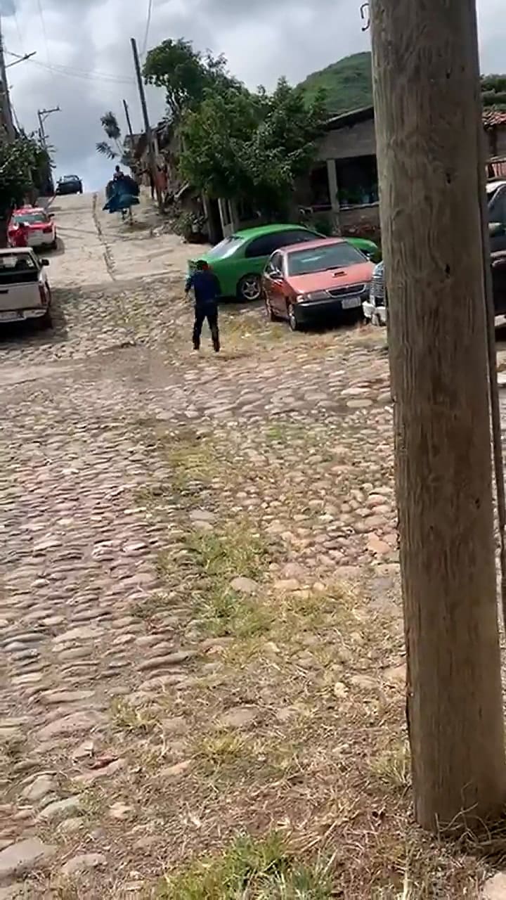 Un video de una fiesta de 15 se volvió viral por la huida del caballo.