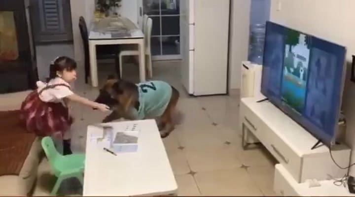 El tierno momento entre un perro y una nena en su casa