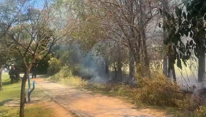 WhatsApp Video 2024-12-17 At 15.15.33 (1)