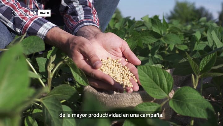 Por qué el tratamiento de semillas es clave y cuáles son las nuevas tecnologías