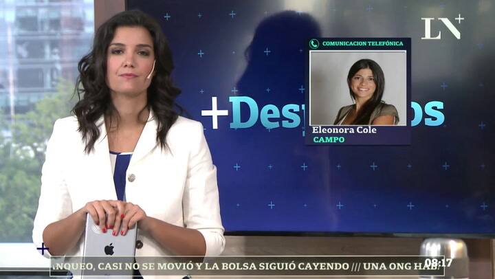 El norte bonaerense, otra vez bajo el agua