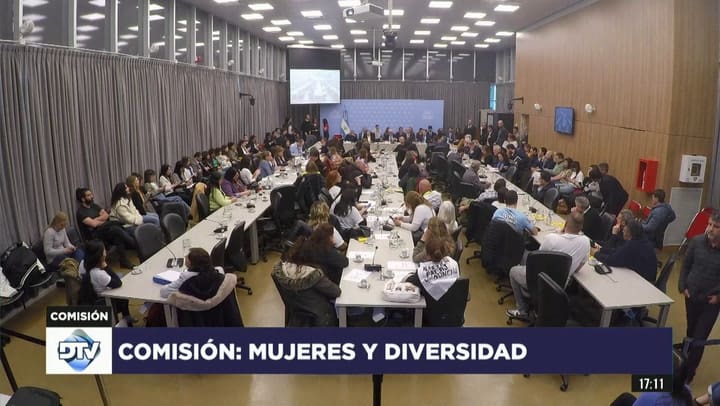 Dip. Ferraro la comisión de mujeres y diversidad