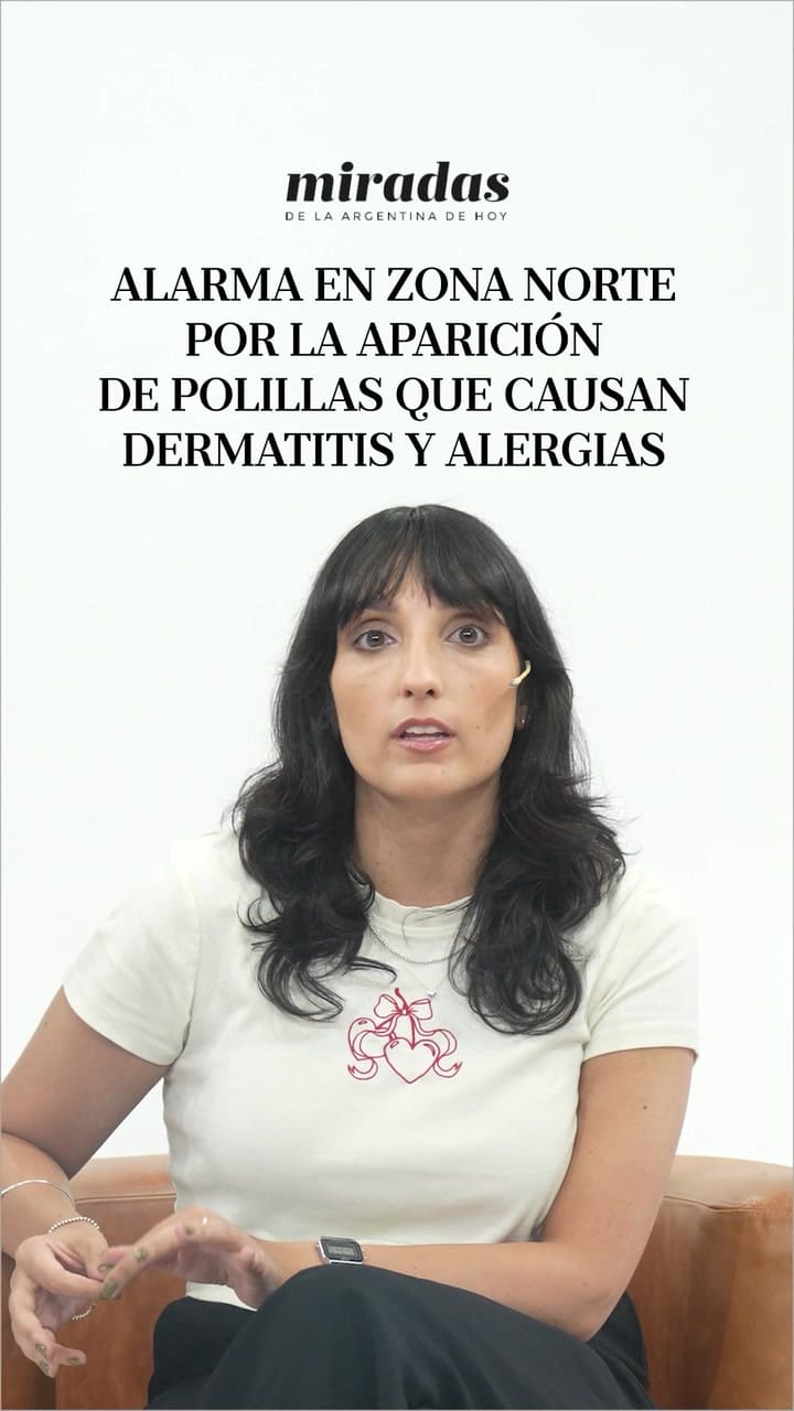 Alarma en Zona Norte por la aparición de polillas que causan dermatitis y alergias
