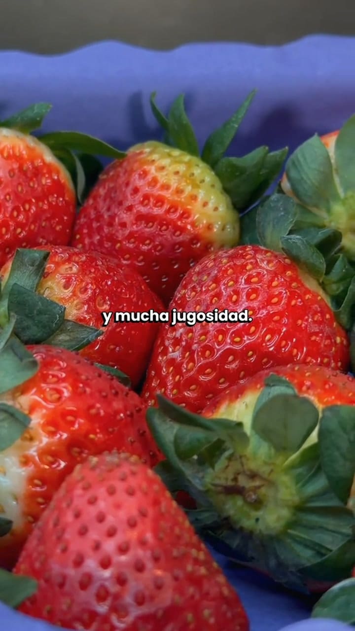 ¿Querés que tus frutillas duren más?