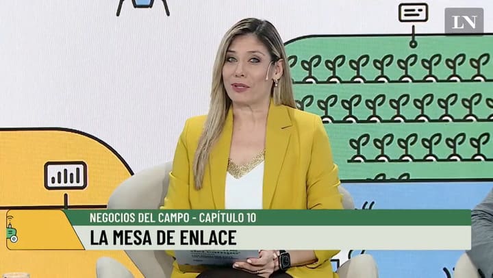 Negocios del campo - capítulo 10: la mesa de enlace.mp4