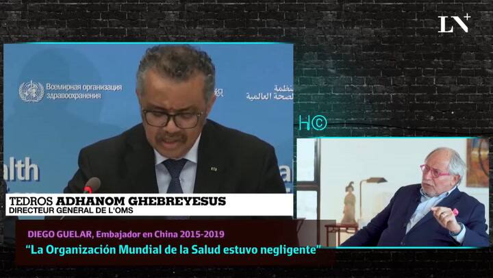 Diego Guelar “La Organización mundial de la salud estuvo negligente”